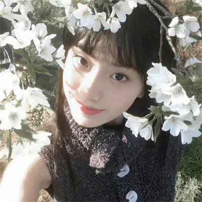 看狗在说话